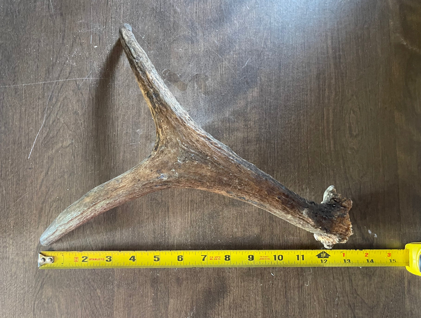 Moose Shed J-13