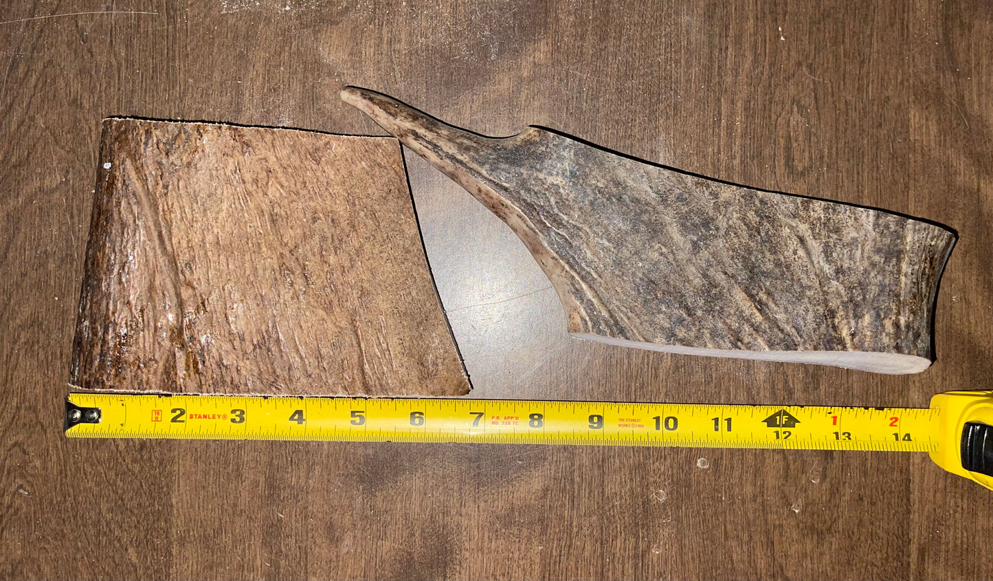 #3- 8/17/23 Duo Moose Paddle