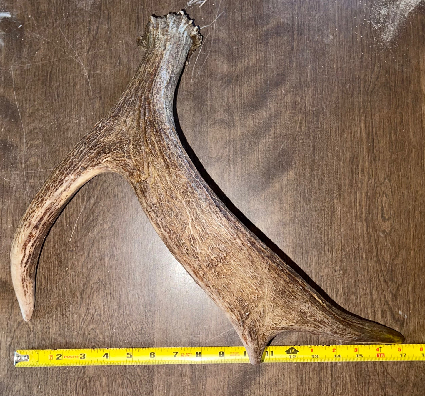 Moose Shed #July17