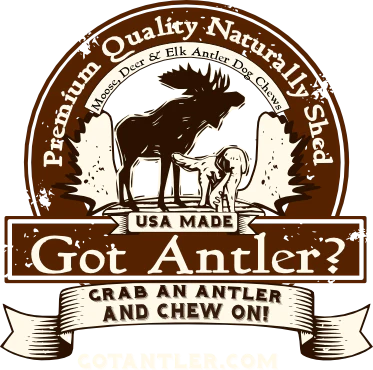 Got-A-Antler