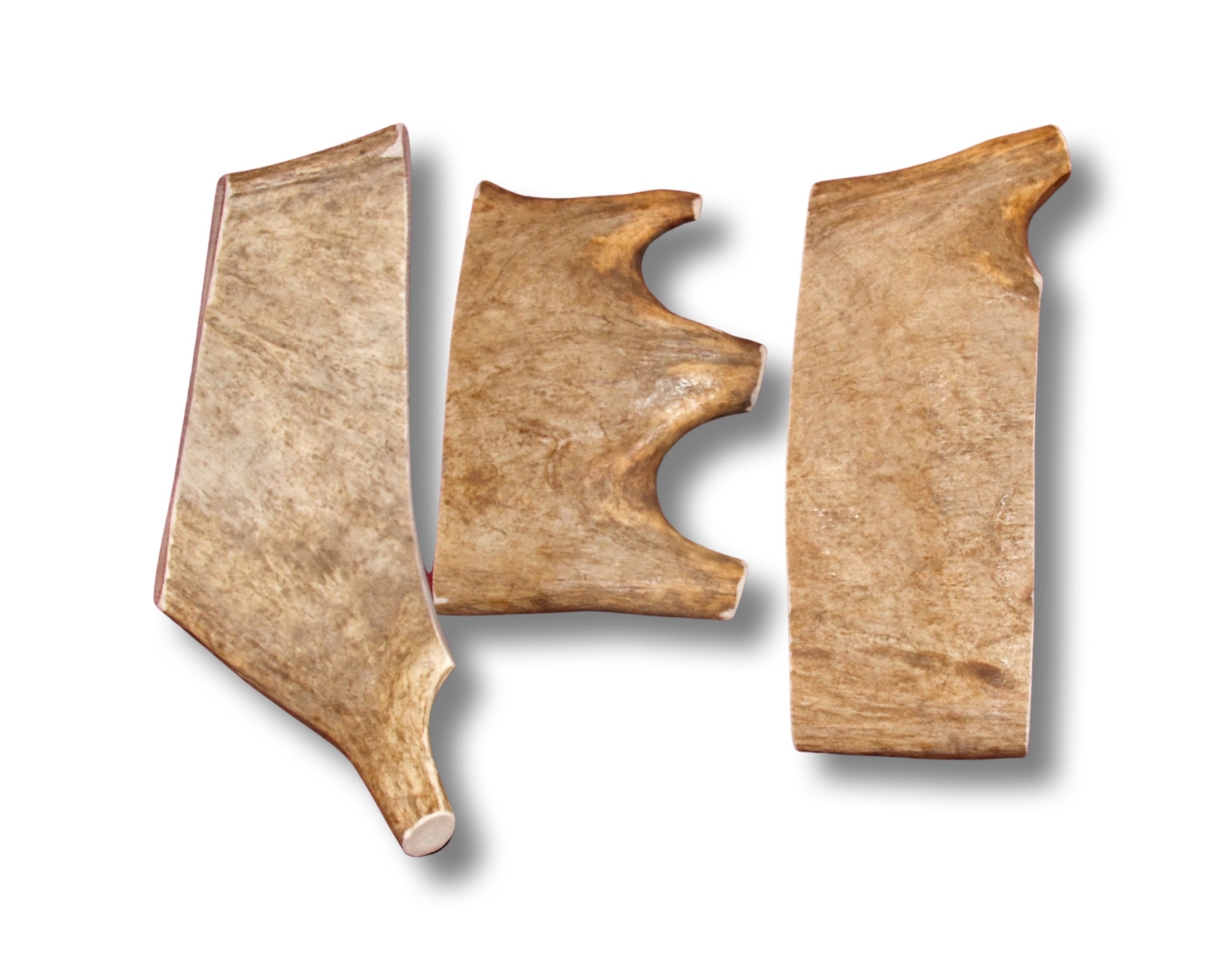 Extra Large Moose Antler Paddle Dog Chew – Grade A – Plain – For Dogs Over 60 lb