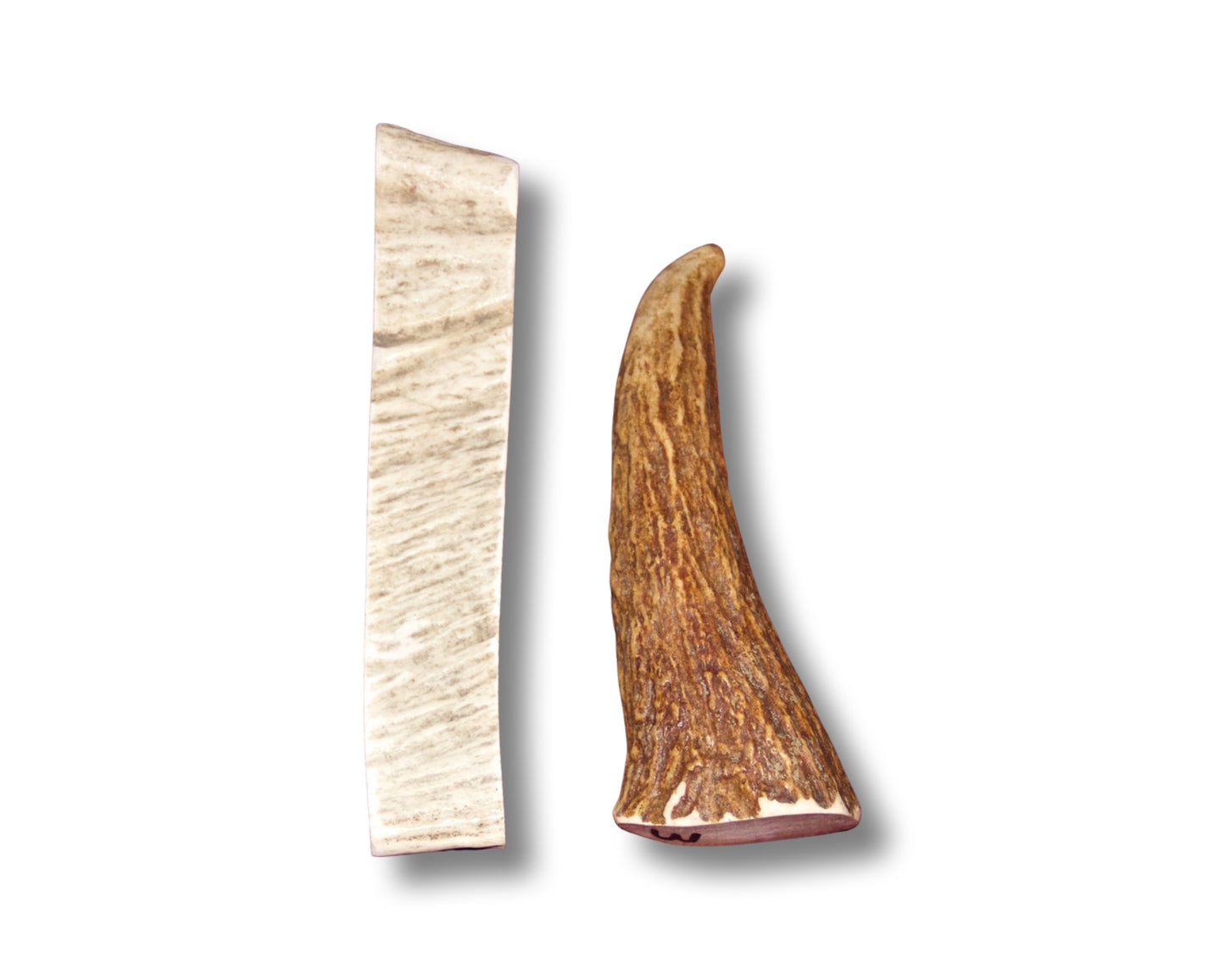 Medium Moose Antler Paddle For Dogs Up To 25 Lbs for Lighter Chewers