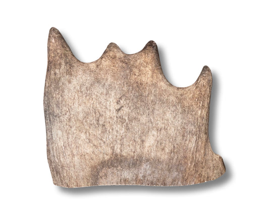 Monster Moose Paddle For Good chewers