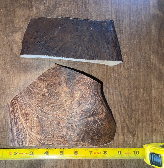 March-9 XLarge/Large Moose Paddle Duo  for good chewers