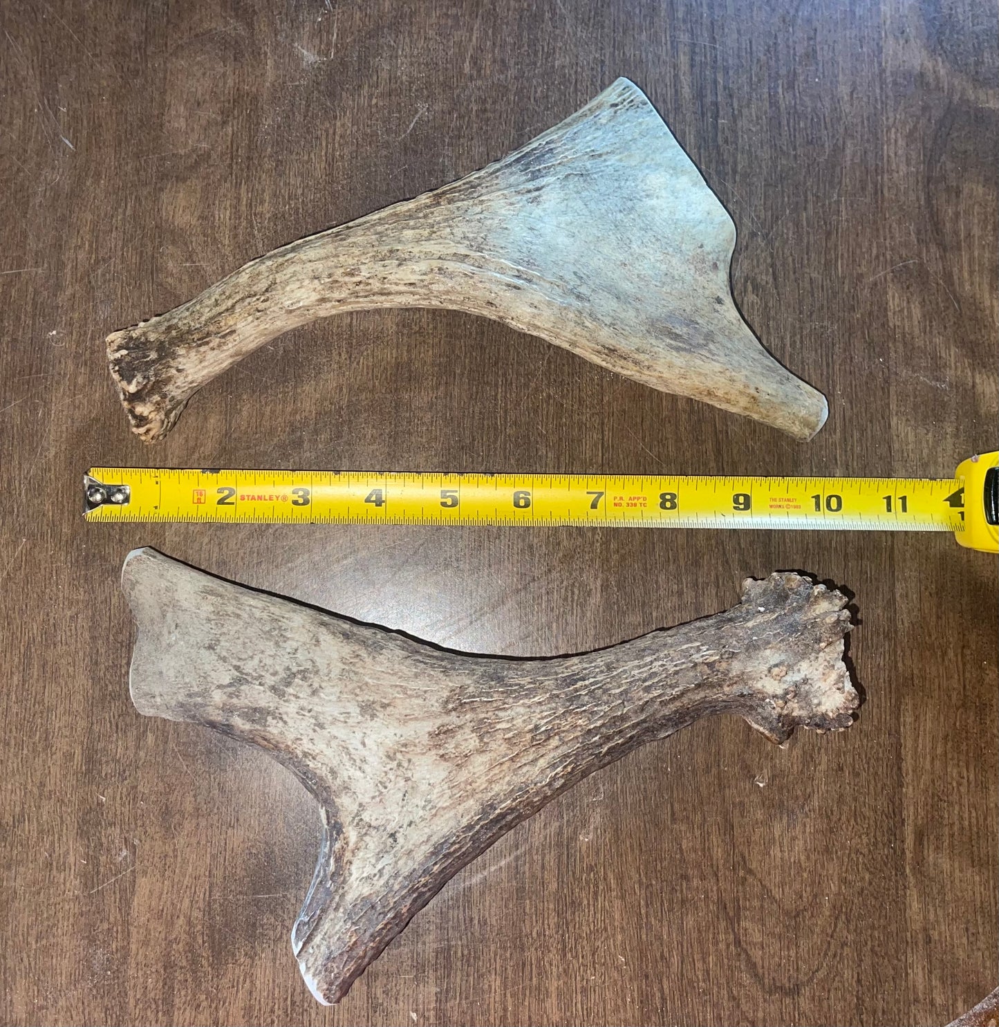 July-1 Mini Moose Shed Duo for medium to good chewers