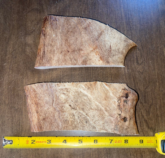 March-8 Large Moose Paddle Duo  for good chewers