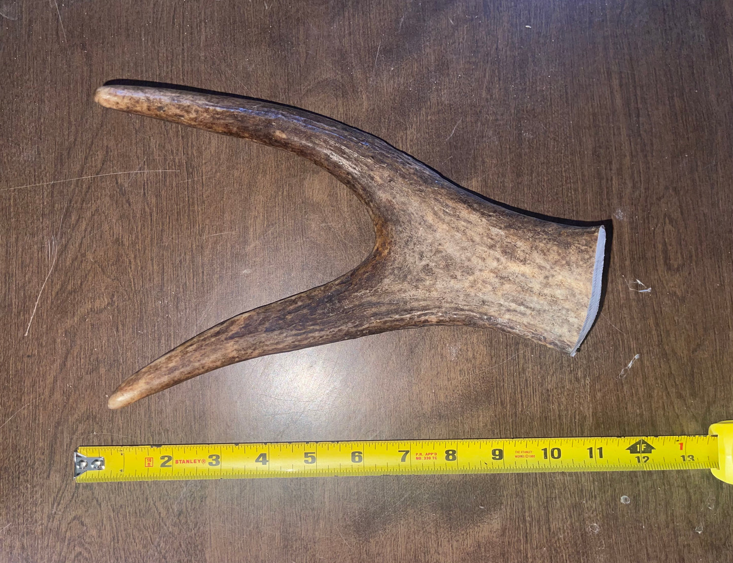 N16 Moose Claw