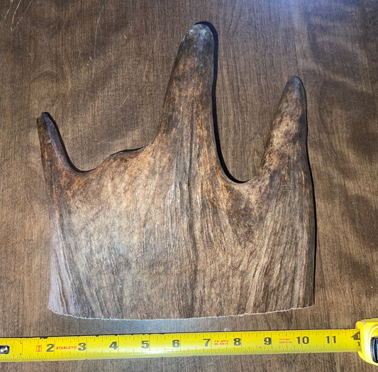 Dec-7 Monster Moose Paddle XL for good chewers