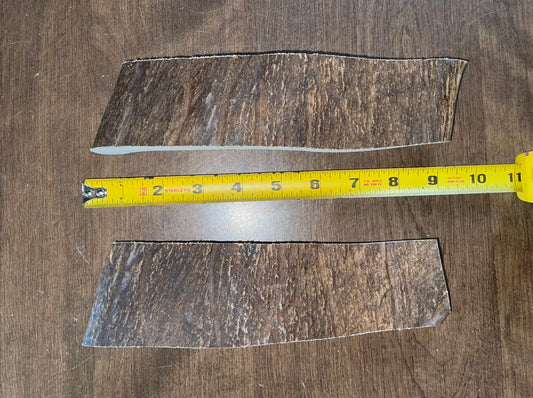 Sept-25 Moose Paddle Large Duo for good chewers