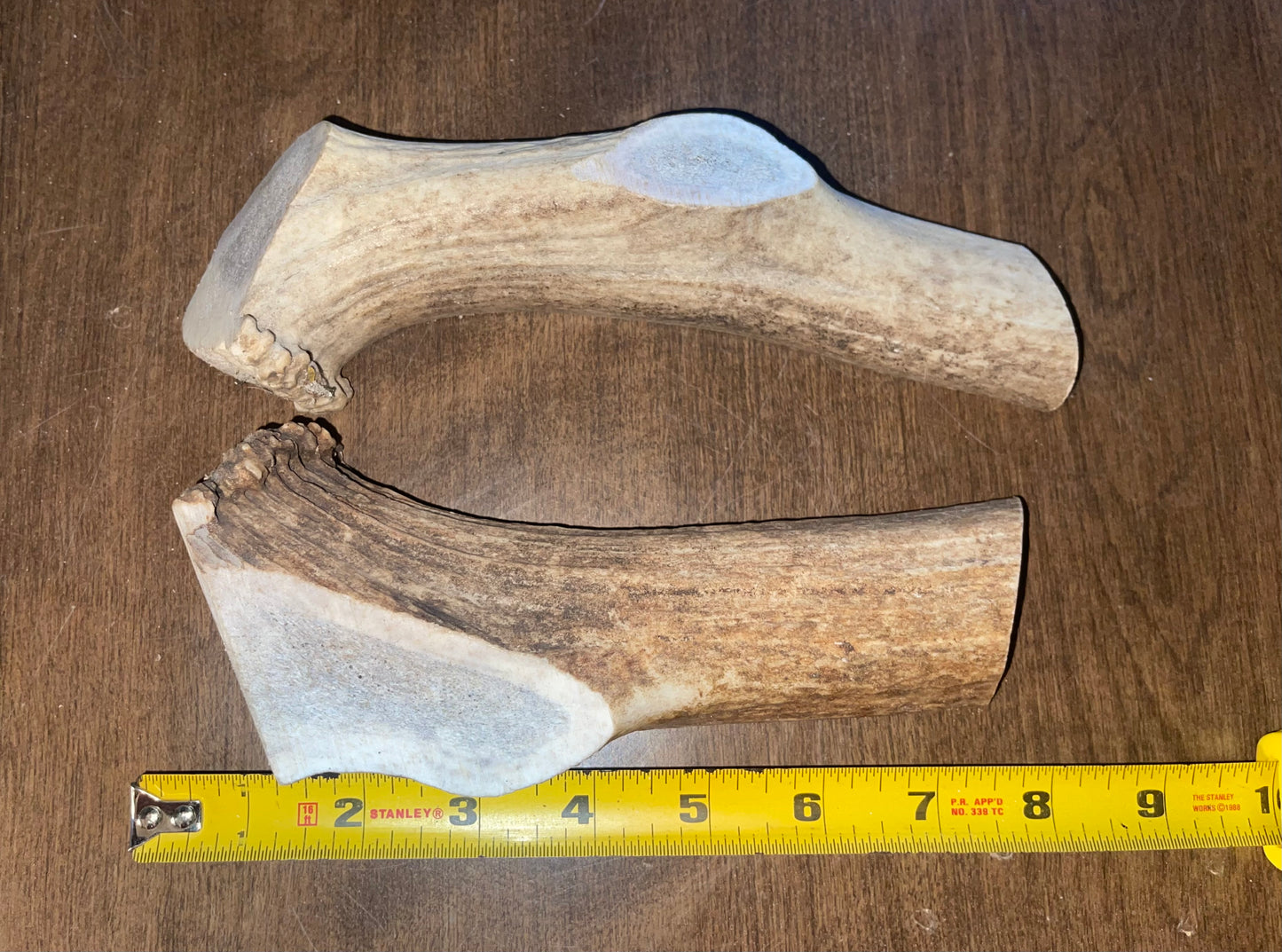 Sept-22-Elk Split Duo For medium to good chewers