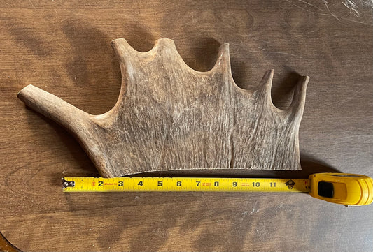 Jan-10 Monster Moose Paddle XL for good chewers