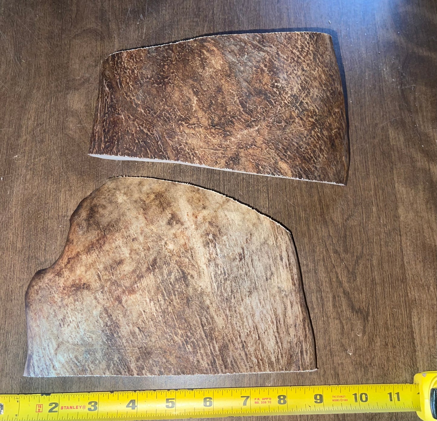 March-12 XLarge Moose Paddle Duo  for good chewers