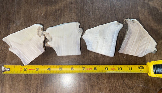 June-24 Moose Burr Split Duo for good chewers