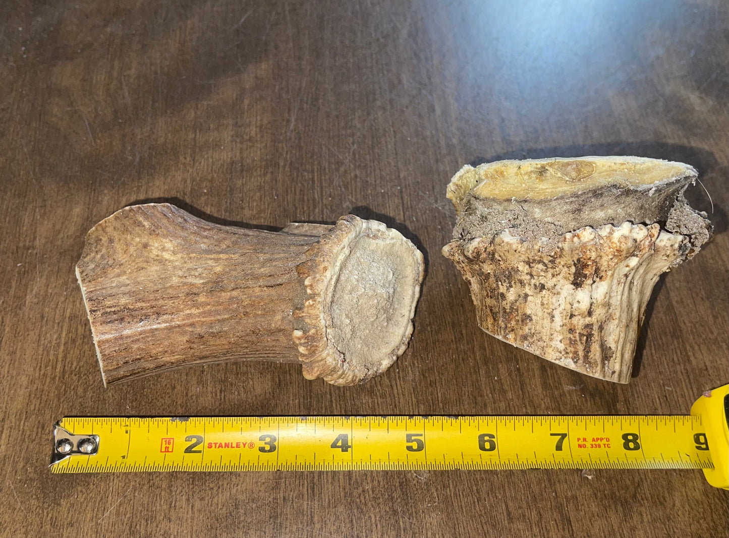 June-16 Elk Burr Duo for very good chewers ( dogs up to 50 lbs)