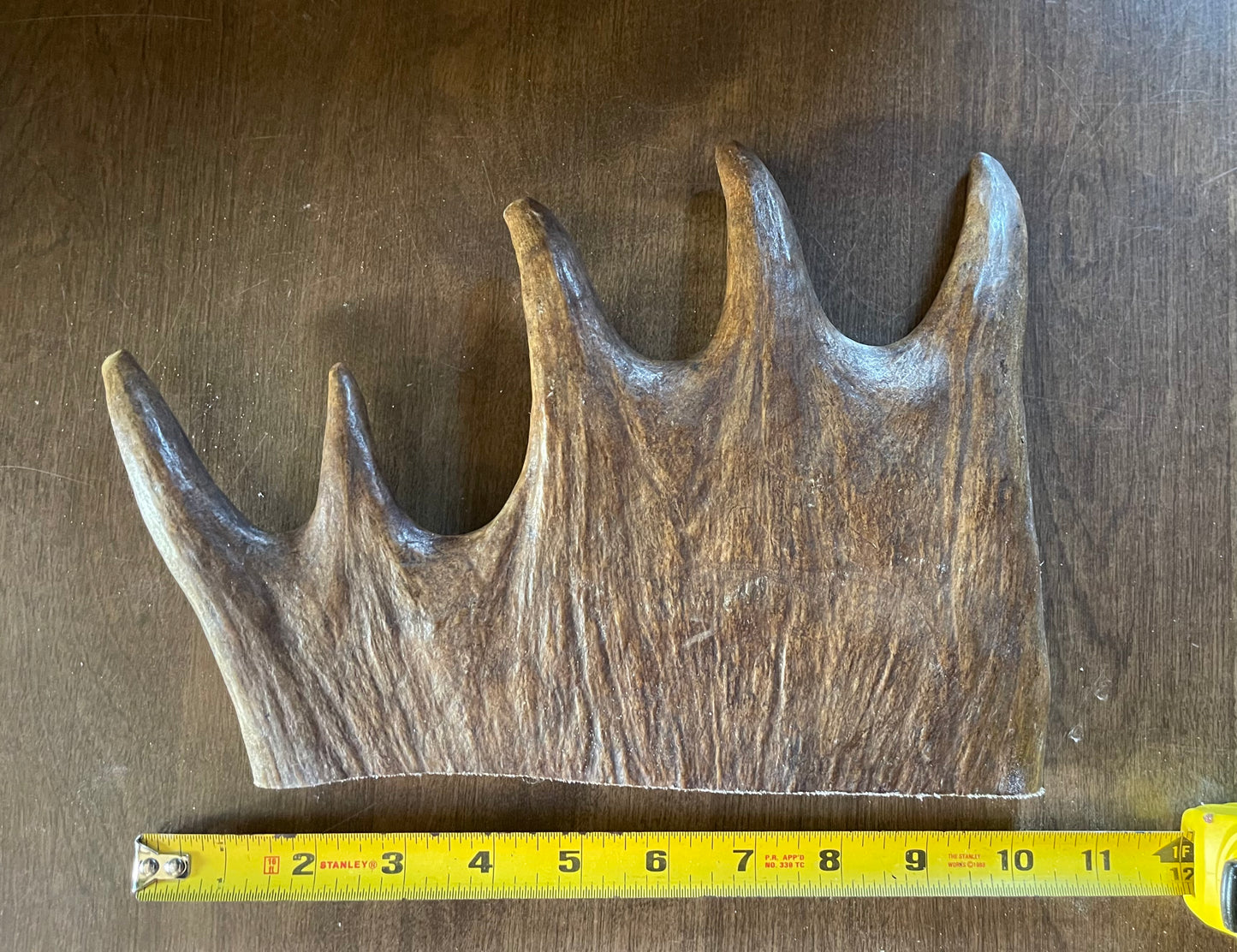 Sept-3 Monster Moose Paddle X-Large for good chewers