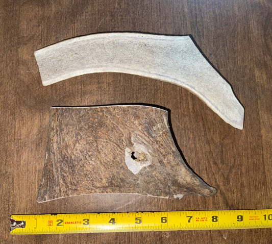 Sept-41-Small/Medium  Moose/Elk Grab Bag for medium to good chewers ( scratch and dent)