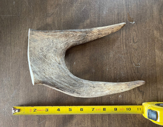 Mar-4 Moose Claw