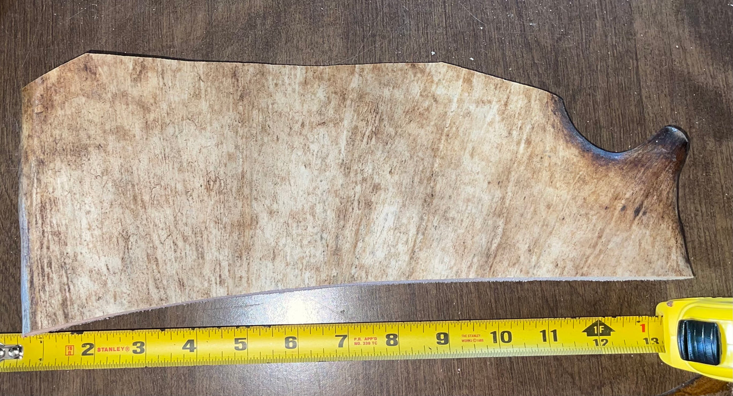 June-10 Moose Paddle XL Plus for medium chewers only