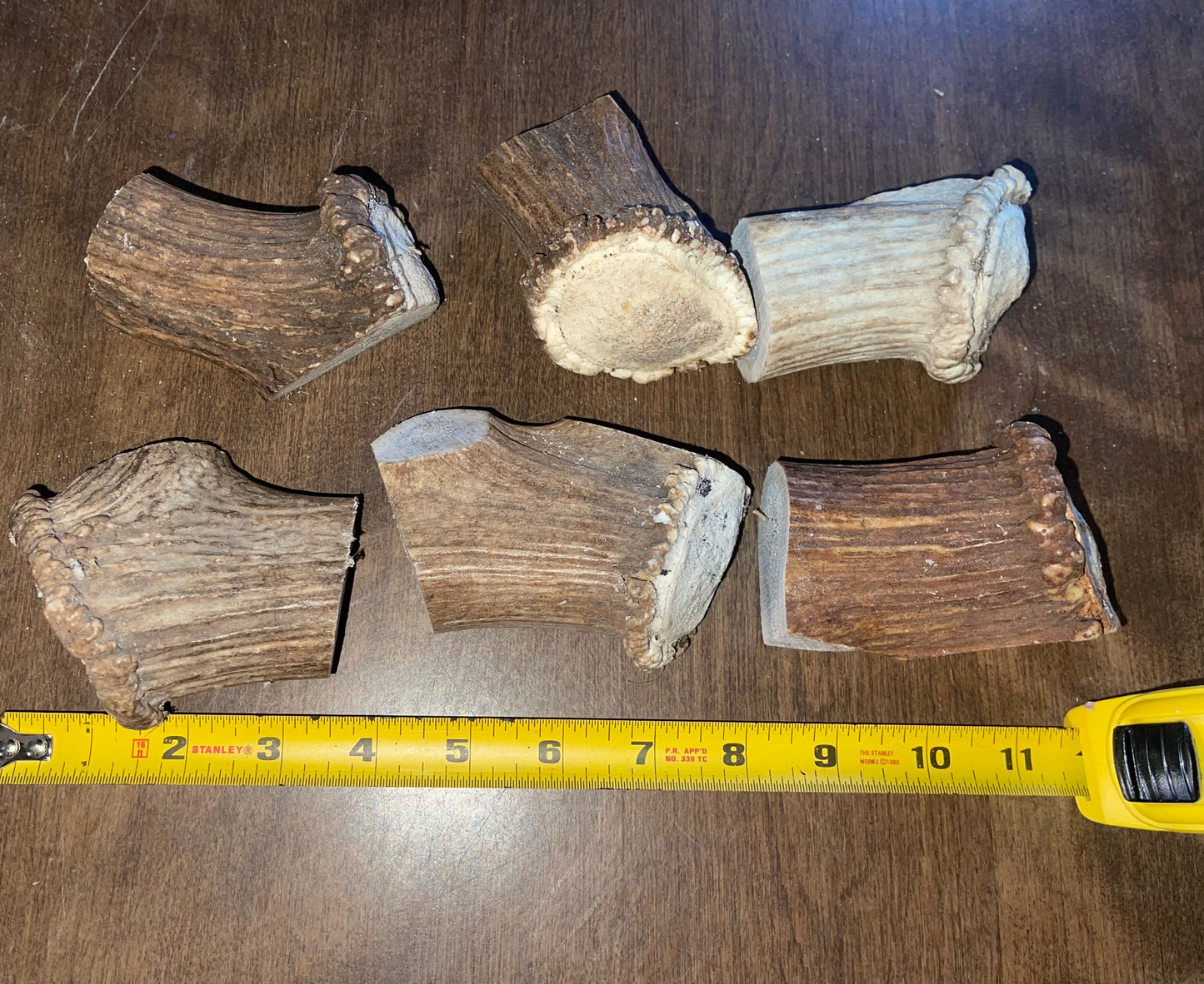 BF-63- 6 Elk Burr for good to very good chewers ( dog up to 45 pounds, puppies)