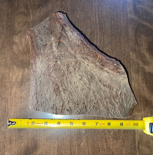 Dec-11 Monster Moose Chunk Massive for powerful chewers