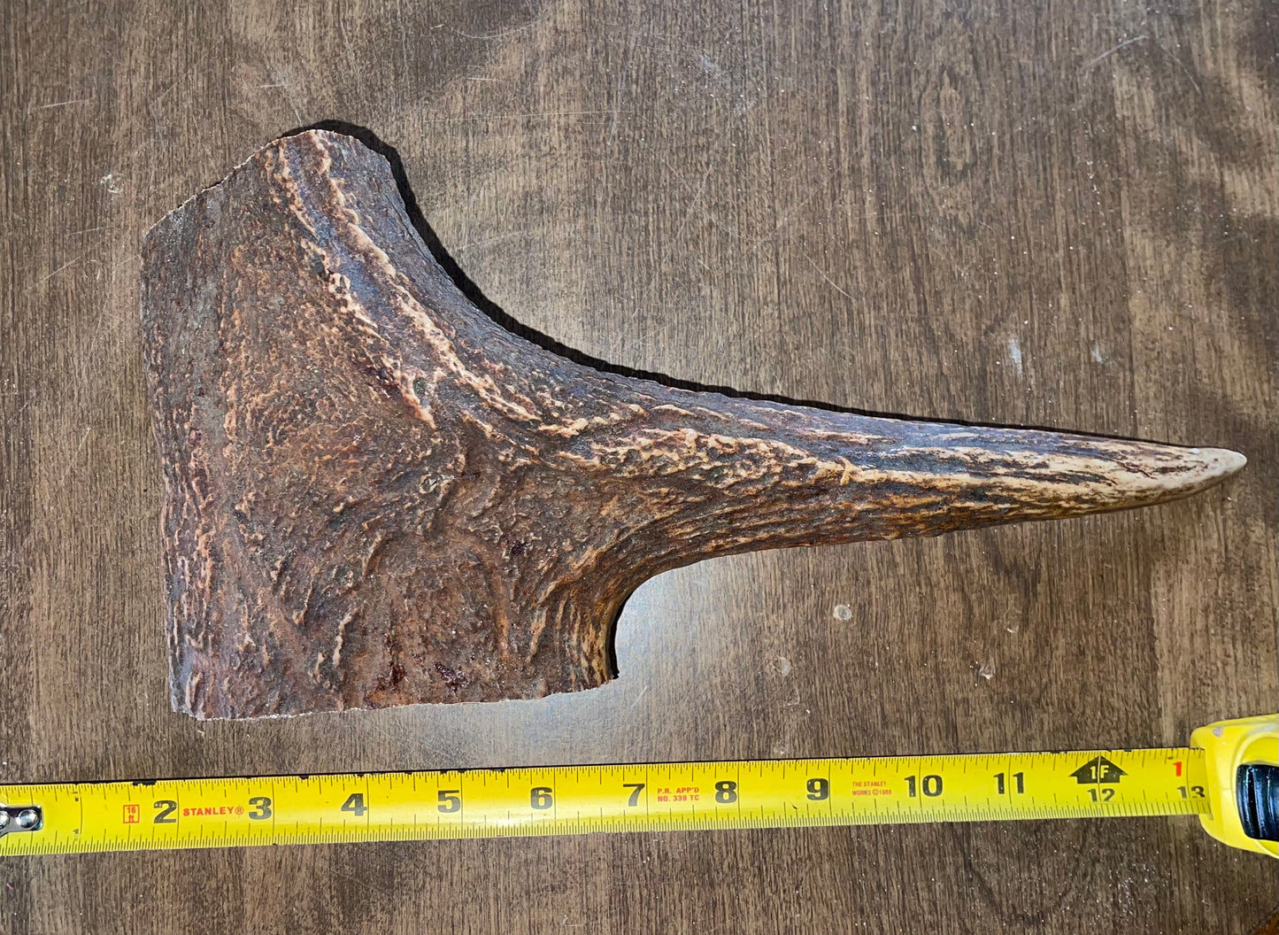 Jan-5 Monster Moose Tine Chunk for Very Good chewers