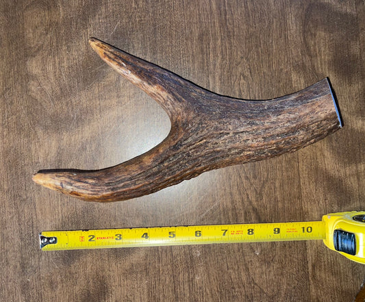 Dec-15 Monster Moose Claw  for Very Good chewers