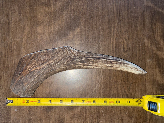 Sept-58-Monster Moose Tine for very good chewers