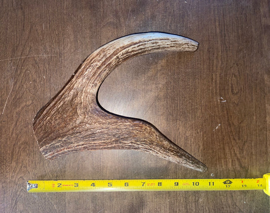 N11 Monster Moose Claw