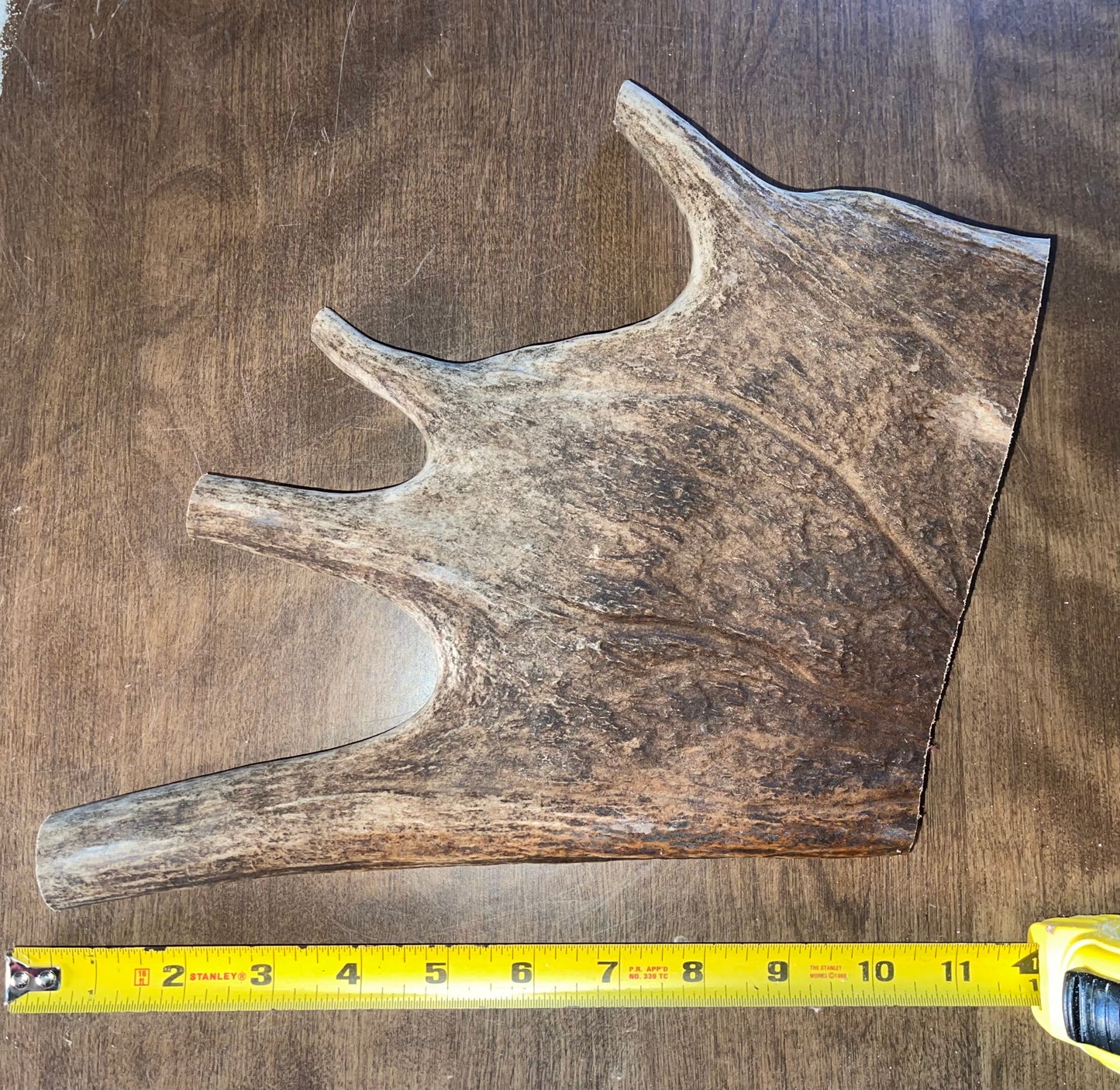 Dec-8 Monster Moose Paddle XL for good chewers