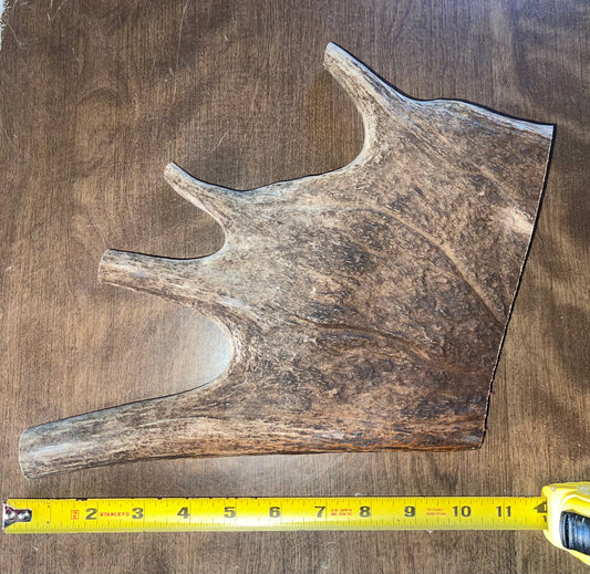 Dec-8 Monster Moose Paddle XL for good chewers