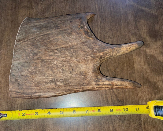 Dec-9 Monster Moose Paddle XL for good chewers