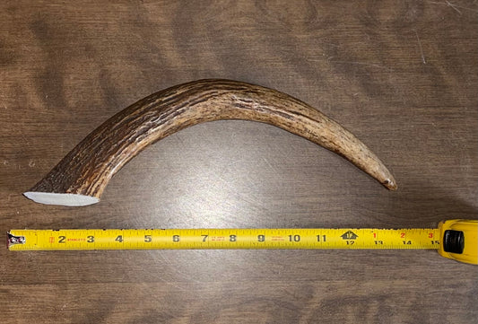 Aug-14 Monster Moose Tine for Good to Very Good chewers