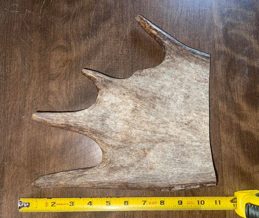 Sept-34-Monster Moose Paddle XL for good chewers