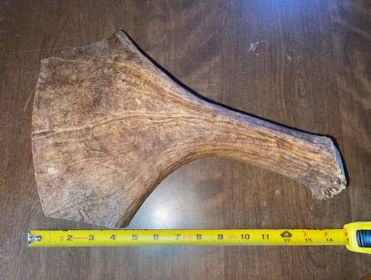 April66 Monster Moose Beam  5XL for powerful chewers
