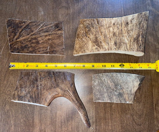 May12 Moose Paddle 4 Piece for Light chewers