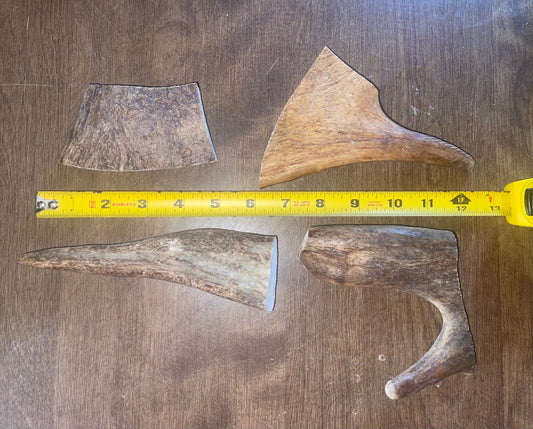 April58 Moose Grab Bag for Small dogs, good chewers