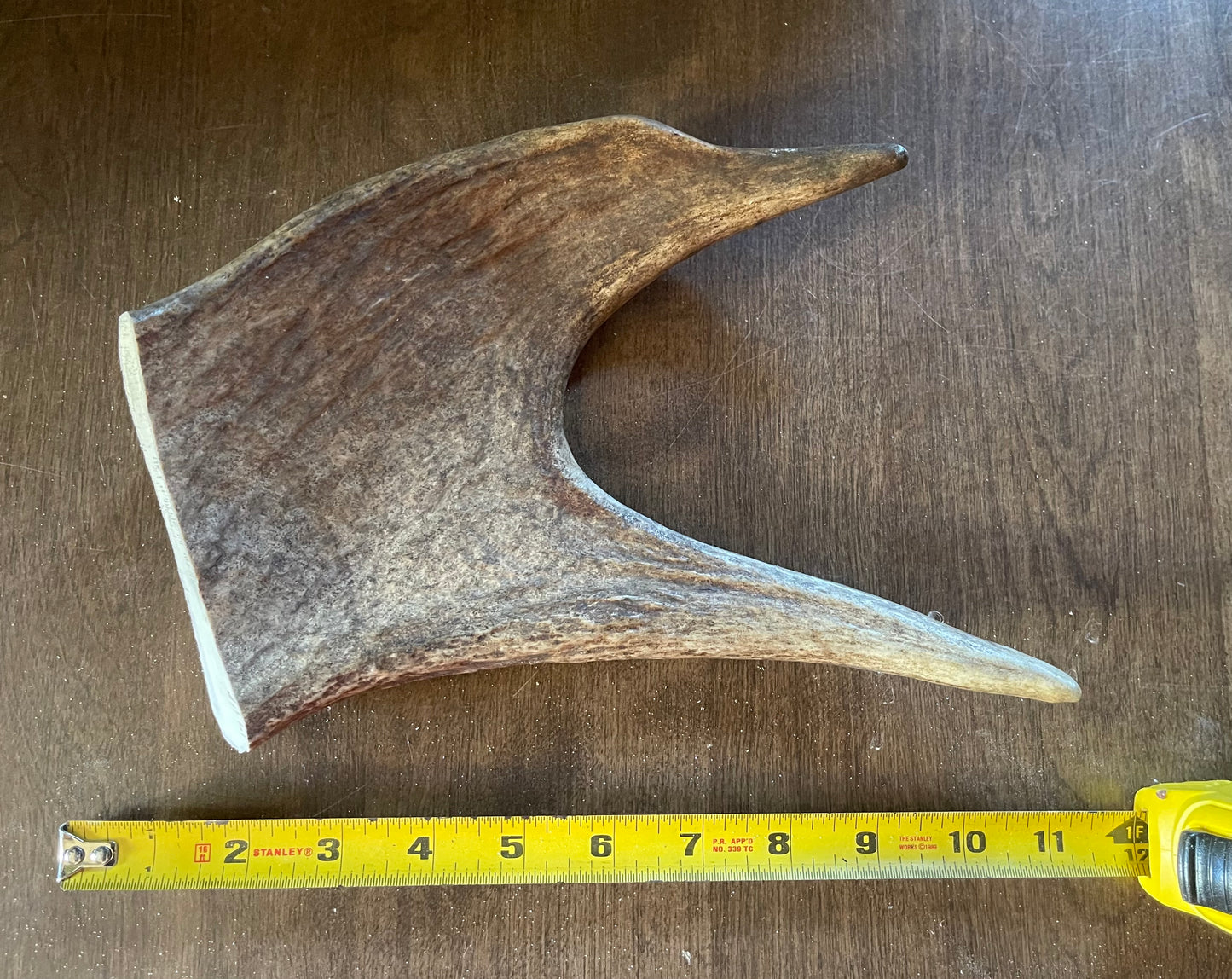 Sept-5 Monster Moose Paddle/Claw X-Large for good chewers