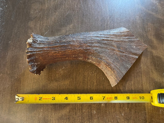 Aug-18 Monster Moose Beam XL for powerful chewers