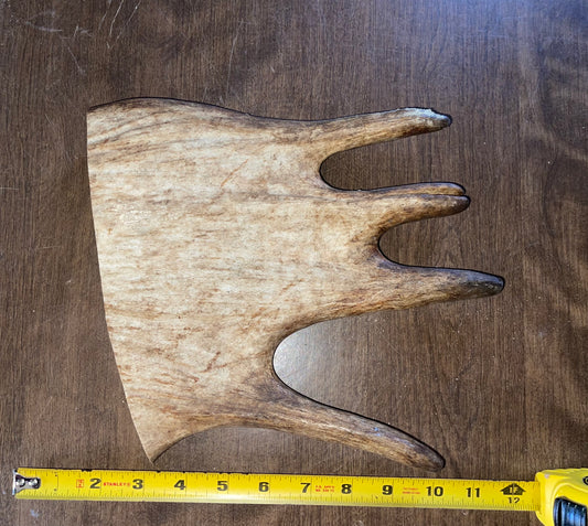 Sept-68-Monster Moose Paddle XL for good chewers