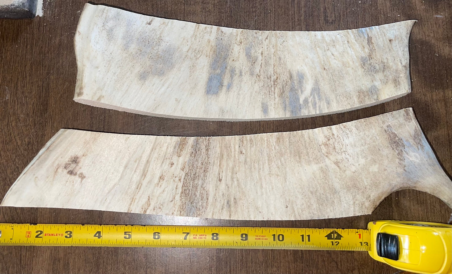 June-9 Moose Paddle Duo for medium chewers only