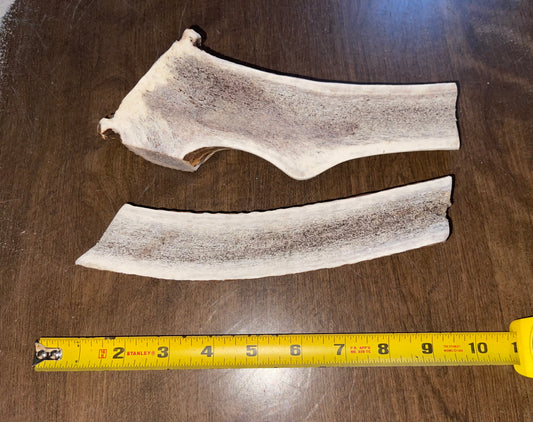 Aug-21 Monster Elk Split/ X-Large Elk Split Duo for good chewers