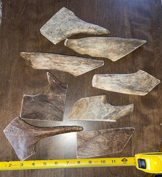 BF-74-8 piece small moose paddle grab bag for medium to good chewers ( dogs up to 20 pounds)