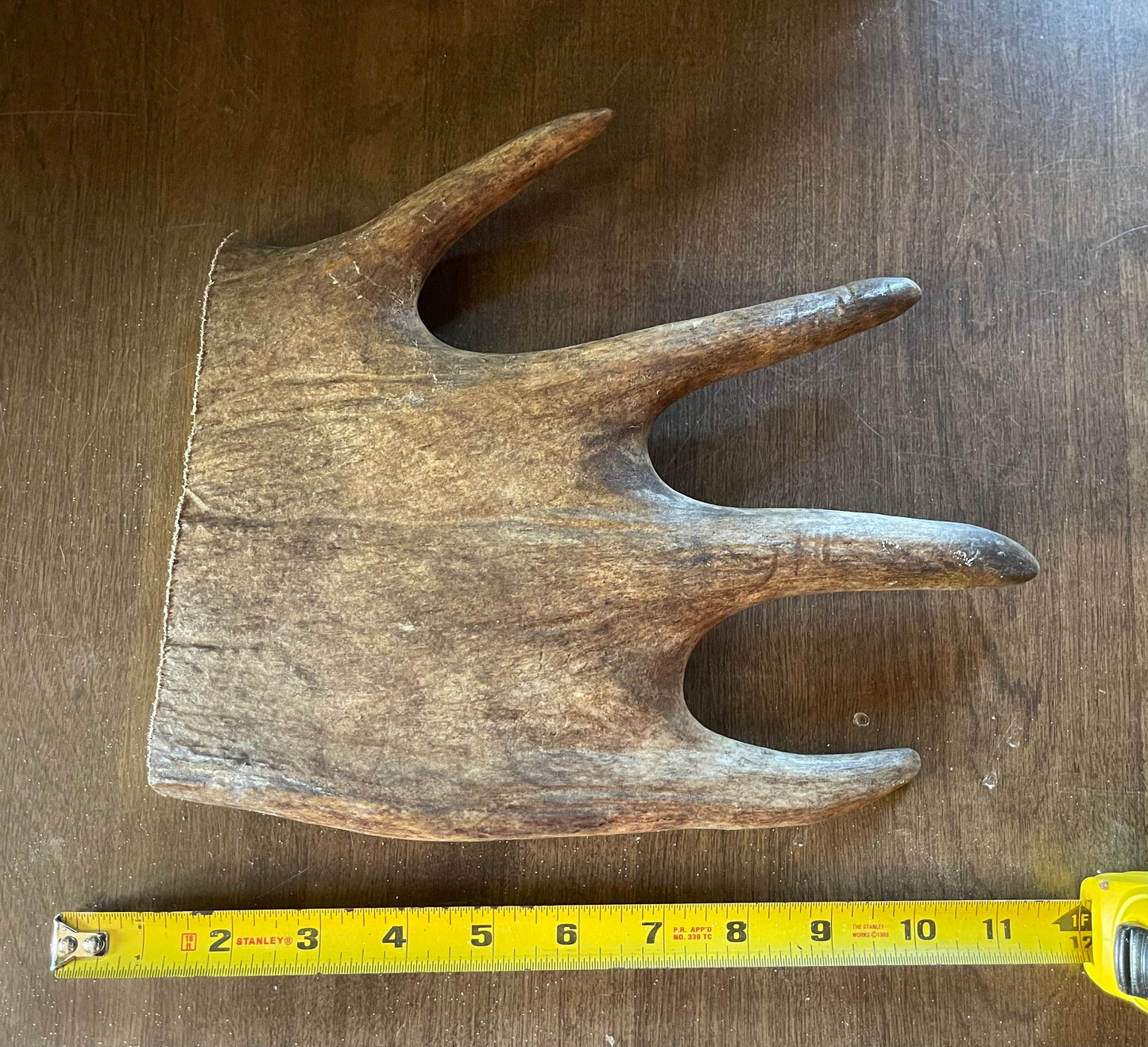 Sept-4 Monster Moose Paddle X-Large for good chewers