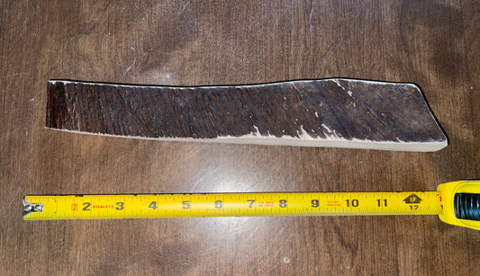 Aug-3 Large Moose Paddle dense  for good  chewers