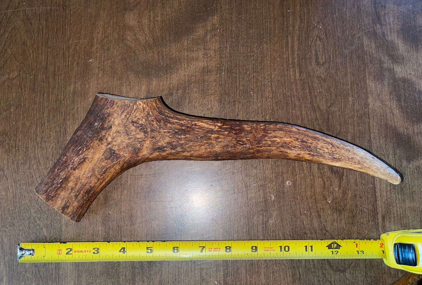 May-22 Monster Moose Tine for very good chewers