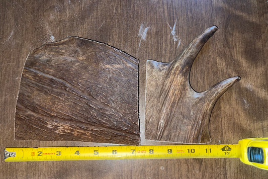 May26 Moose Paddle Duo for good chewers