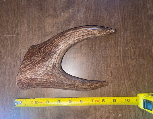 14-July Moose Claw Large