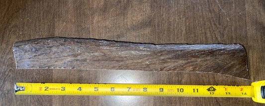 Sept-76-Monster Moose Paddle End Piece for good to very good chewers