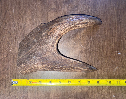 N15 Moose Claw