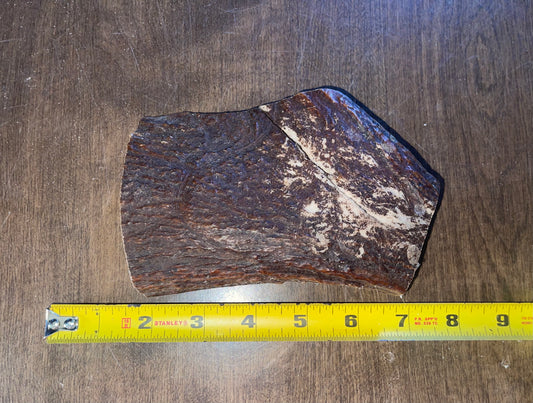 Sept-17-Moose Paddle Chunk For good chewers ( scratch and dent)